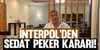 INTERPOL'den Sedat Peker kararı