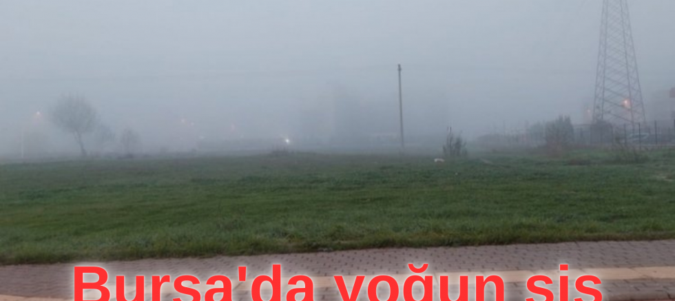 Bursa'da yoğun sis