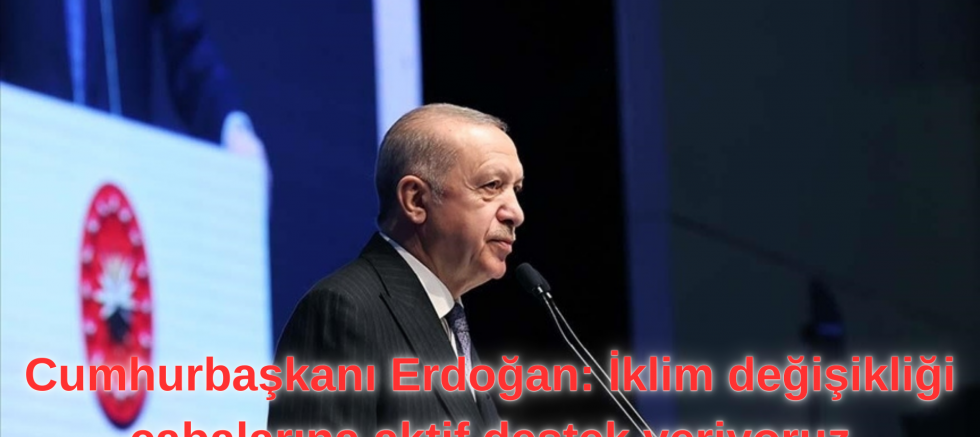 Cumhurbaşkanı Erdoğan: İklim değişikliği çabalarına aktif destek veriyoruz