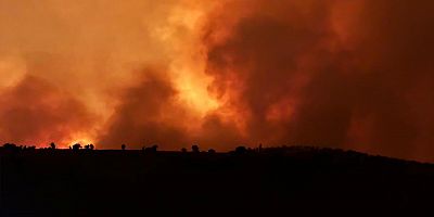 Bakan Koca: “Diyarbakır ile Mardin arasında meydana gelen yangınlarda 11 kişi hayatını kaybetti”