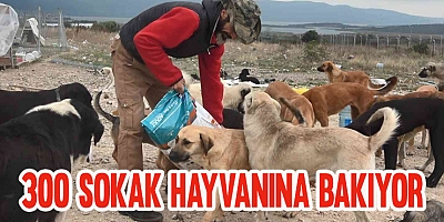  Bursada 16 Gönüllü, Kurdukları Barınakta 300 Sokak Hayvanına Bakıyor