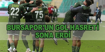 Bursaspor'un Gol Hasreti Sona Erdi