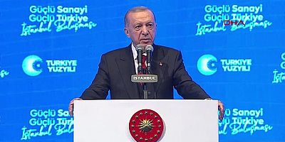 Cumhurbaşkanı Erdoğan: Sandığın telafisi yok