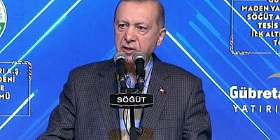 Cumhurbaşkanı Erdoğan 'telafisi yok' diyerek uyardı!
