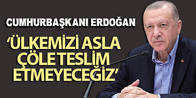 Cumhurbaşkanı Erdoğan: 'Ülkemizi asla çöle teslim etmeyeceğiz kurak bırakmayacağız'
