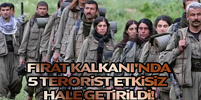 Fırat Kalkanı'nda taciz ateşi açan 5 PKK'lı terörist etkisiz hale getirildi