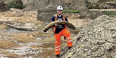 İngiltere'de 450 bin yıllık mamut fosili bulundu