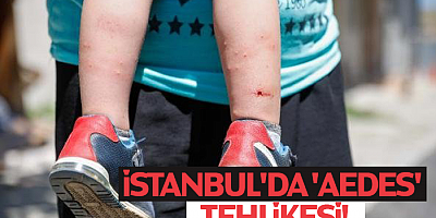 İstanbul'da 'Aedes' Tehlikesi!