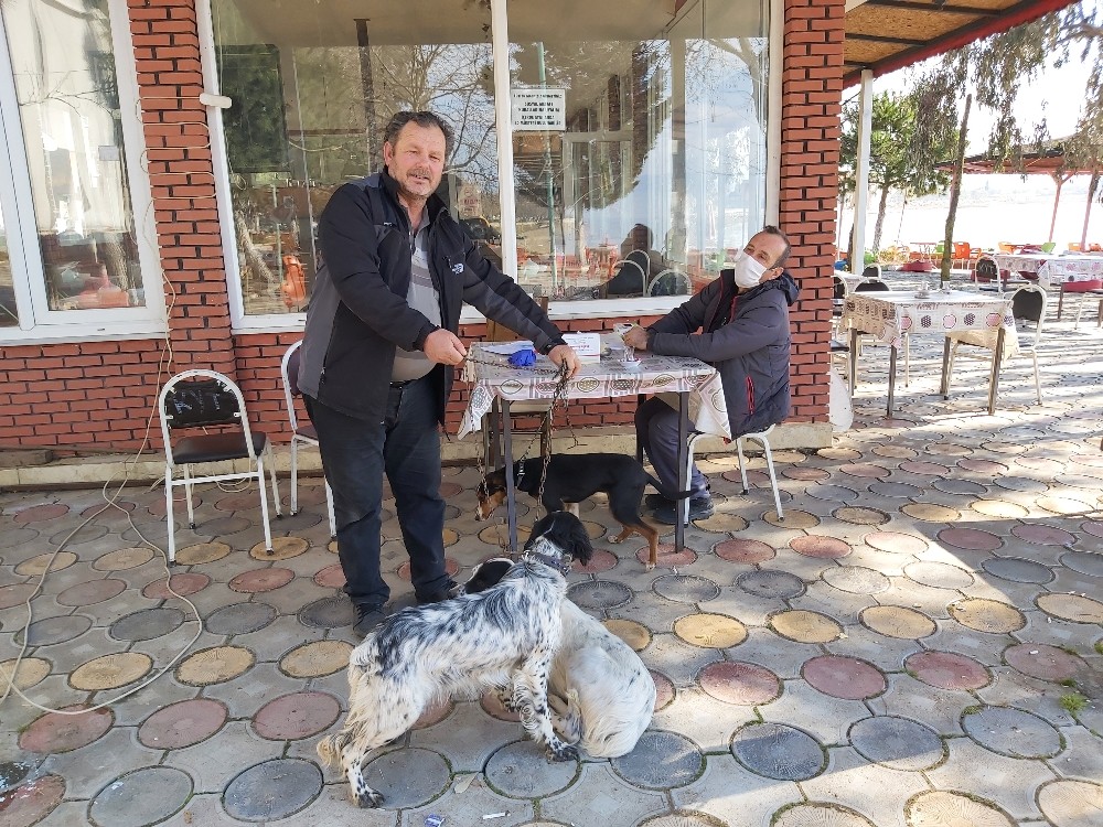 İznik'te Köpeklere Kuduz Aşısı